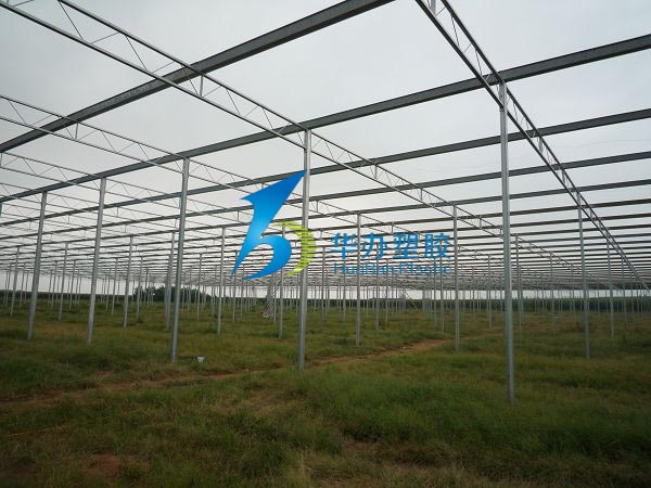 連云港東海縣雙店鎮(zhèn)溫室大棚PC陽(yáng)光板