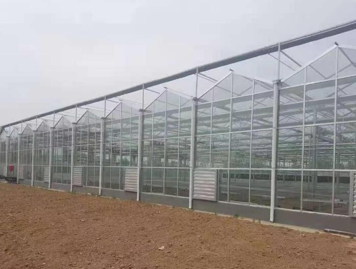 PC薄膜溫室大棚可以防風(fēng)嗎？